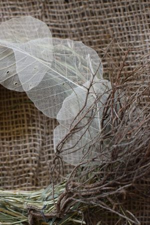 Skelettblätter: getrocknetes Naturmaterial für deine Naturdeko. Basteln Kreativsein Natur Blatt Blätter trocken