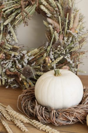 Herbstdeko mit weissen Kürbissen. Der Klassiker der Herbstdeko. Jetzt besellen! Kürbis mittel weiss