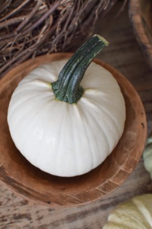 Snowball groß weiß Zierkürbis Kürbis Herbstdeko im Mrs Greenery Shop bestellen kaufen