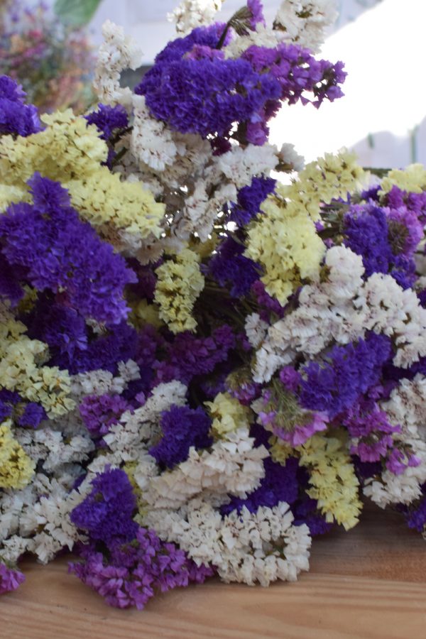 Statice getrocknet. Strandflieder Meerlavendel Sommer Mix pastell. Trockenblumen Kreativsein vom Mrs Greenery Shop