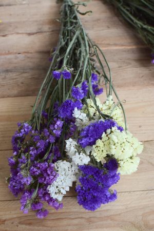 Statice getrocknet. Strandflieder Meerlavendel Sommer Mix pastell. Trockenblumen Kreativsein vom Mrs Greenery Shop