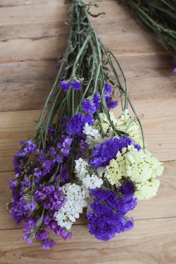 Statice getrocknet. Strandflieder Meerlavendel Sommer Mix pastell. Trockenblumen Kreativsein vom Mrs Greenery Shop