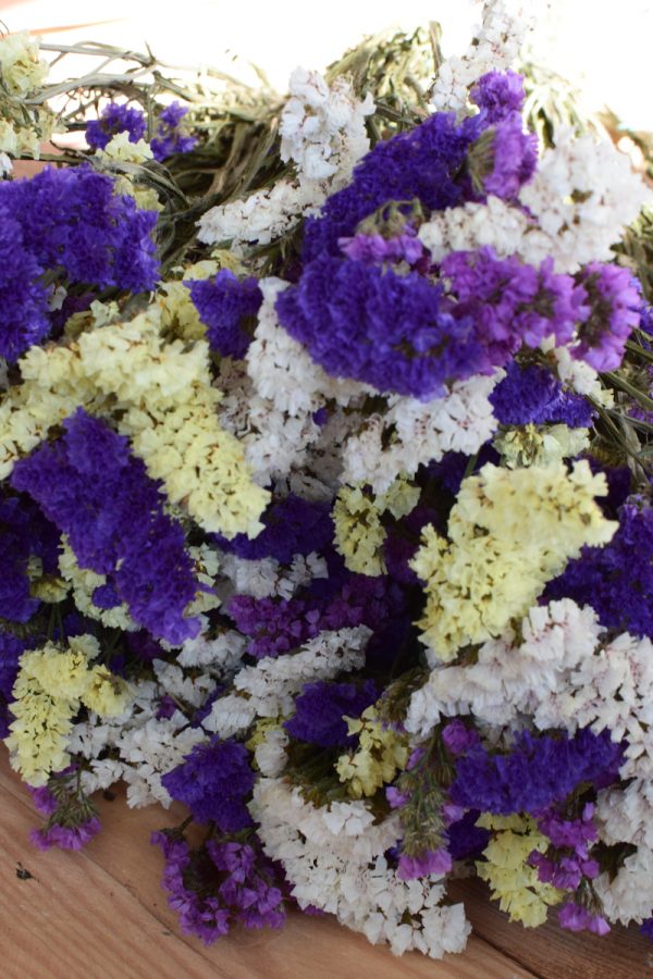 Statice getrocknet. Strandflieder Meerlavendel Sommer Mix pastell. Trockenblumen Kreativsein vom Mrs Greenery Shop