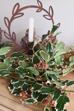 Stechpalme Ilex rote Beeren frisch Wintergrün frisch Kranzbinden Winterdeko Herbstdeko kreativsein im Mrs Greenery Shop bestellen kaufen