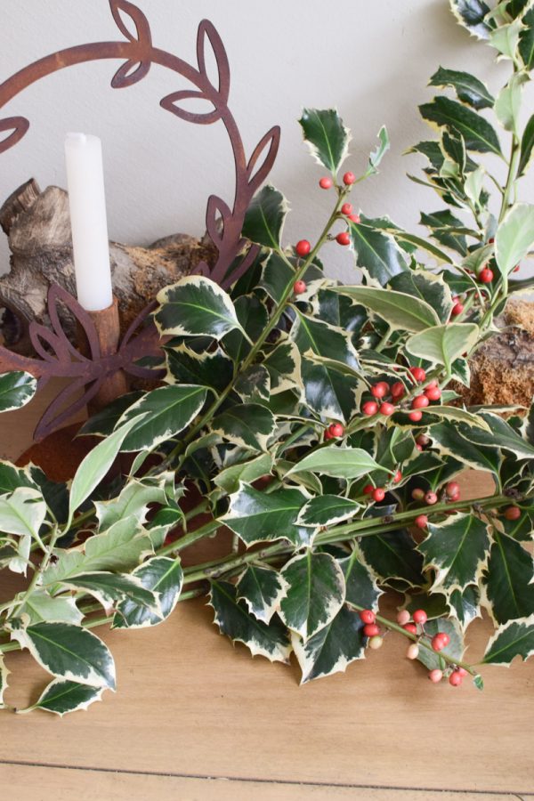 Stechpalme Ilex rote Beeren frisch Wintergrün frisch Kranzbinden Winterdeko Herbstdeko kreativsein im Mrs Greenery Shop bestellen kaufen