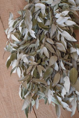 Steineiche getrocknet Bund Trockenblumen Kranzbinden Eichblatt im Mrs Greenery Shop bestellen kaufen