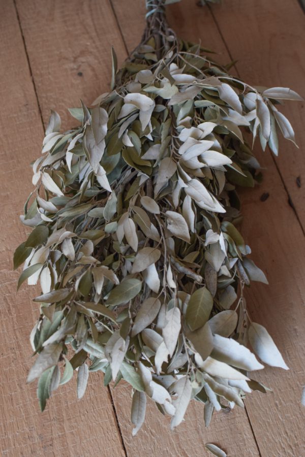 Steineiche getrocknet Bund Trockenblumen Kranzbinden Eichblatt im Mrs Greenery Shop bestellen kaufen
