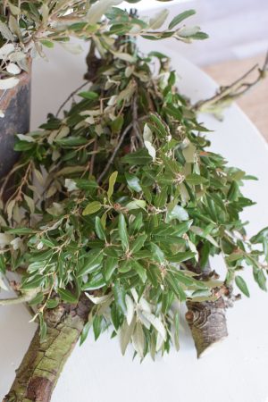 Steineiche Eiche Bund mit grünen Blättern Gehölz Greenery Deko DIY Naturdeko im Mrs Greenery Shop bestellen Naturdeko