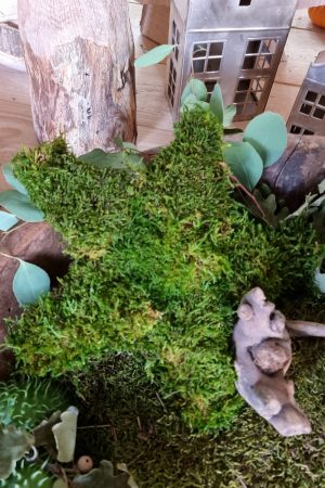moosdeko Moosstern Stern Weihnachtsdeko Weihnachtsstern im Mrs Greenery Shop bestellen kaufen