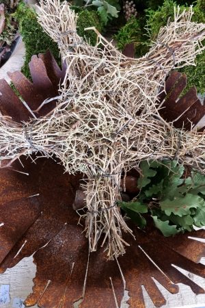 moosdeko Moosstern Stern Weihnachtsdeko Weihnachtsstern im Mrs Greenery Shop bestellen kaufen