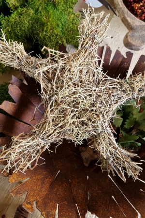 moosdeko Moosstern Stern Weihnachtsdeko Weihnachtsstern im Mrs Greenery Shop bestellen kaufen