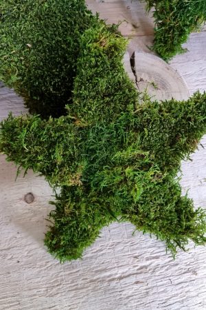 moosdeko Moosstern Stern Weihnachtsdeko Weihnachtsstern im Mrs Greenery Shop bestellen kaufen