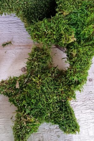 moosdeko Moosstern Stern Weihnachtsdeko Weihnachtsstern im Mrs Greenery Shop bestellen kaufen