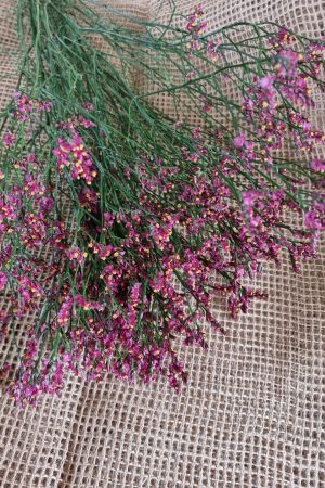 Strandflieder rot violett gelb Limonium im Mrs Greenery Shop bestellen kaufen