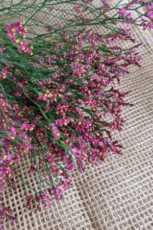Strandflieder rot violett gelb Limonium scarletim Mrs Greenery Shop bestellen kaufen