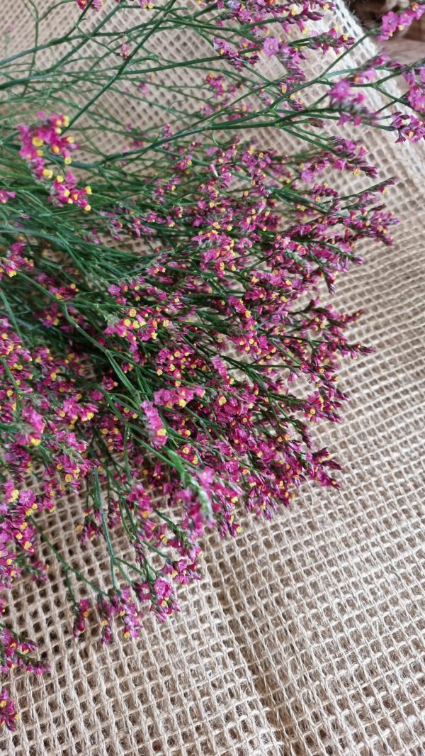 Strandflieder rot violett gelb Limonium scarletim Mrs Greenery Shop bestellen kaufen