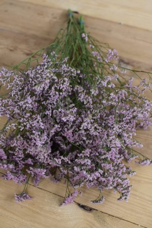 Strandflieder Statice pink rosa frisch bund Naturdeko Naturmaterialien Kreativsein