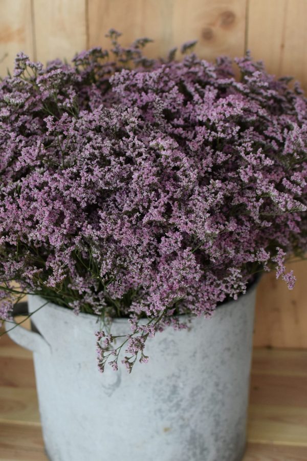 Strandflieder Statice pink rosa frisch bund Naturdeko Naturmaterialien Kreativsein