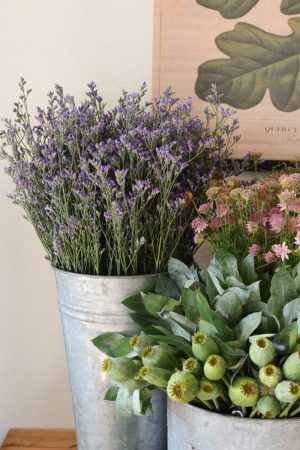 Frisches Greenery aus dem Mrs Greenery Shop: Mohnkapsel, Strandflieder, Thymian, Eukalyptus. Zum Kranzbinden und Kreativsein mit Naturmaterialien