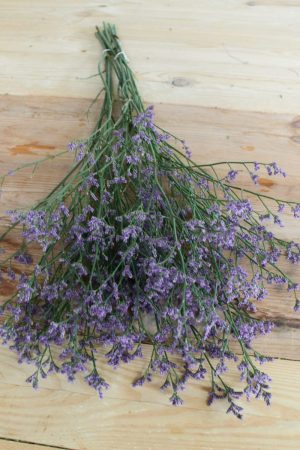 Strandflieder in violett lila blau für deine Naturdekos. Kranzbinden Kreativsein mit Natur Flieder Trockenblumen