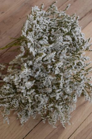 Strandflieder in weiss getrocknet für deine Naturdekos. Kranzbinden Kreativsein mit Natur Flieder Trockenblumen