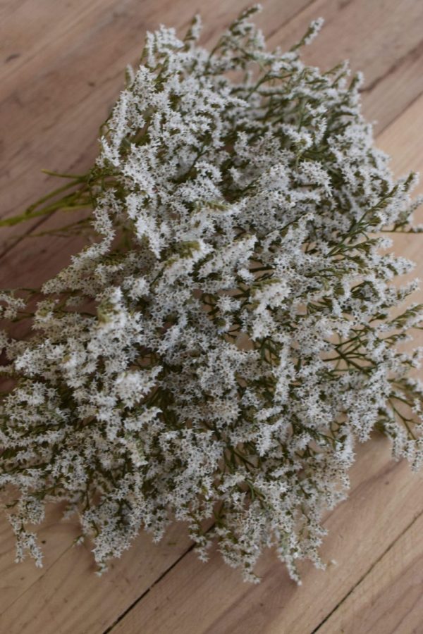 Strandflieder in weiss getrocknet für deine Naturdekos. Kranzbinden Kreativsein mit Natur Flieder Trockenblumen