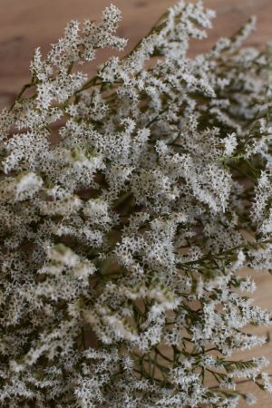 Strandflieder in weiss getrocknet für deine Naturdekos. Kranzbinden Kreativsein mit Natur Flieder Trockenblumen