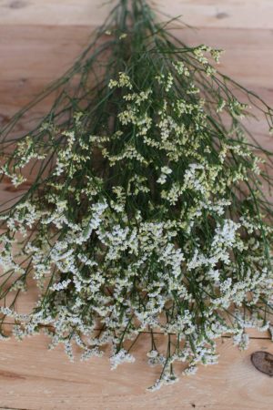 Strandflieder in weiss für deine Naturdekos. Kranzbinden Kreativsein mit Natur Flieder Trockenblumen