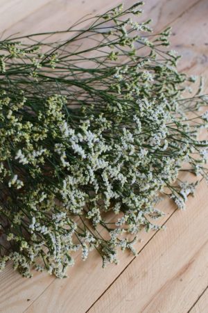 Strandflieder in weiss für deine Naturdekos. Kranzbinden Kreativsein mit Natur Flieder Trockenblumen