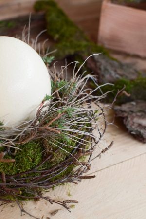 Osterdeko mit Straußenei. Dekoidee Ostern Ei Eier. Dekorieren mit Naturmaterialien