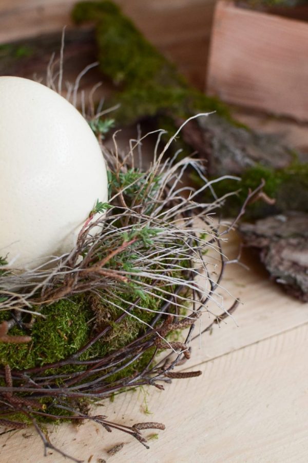 Osterdeko mit Straußenei. Dekoidee Ostern Ei Eier. Dekorieren mit Naturmaterialien