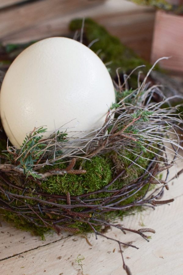 Osterdeko mit Straußenei. Dekoidee Ostern Ei Eier. Dekorieren mit Naturmaterialien Mooskranz Kranz Moos
