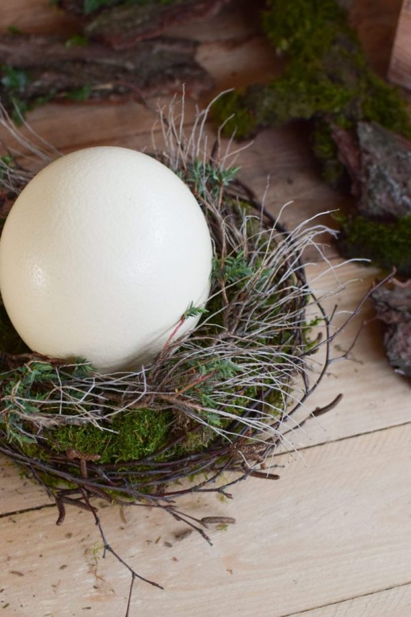 Osterdeko mit Straußenei. Dekoidee Ostern Ei Eier. Dekorieren mit Naturmaterialien Mooskranz Kranz Moos