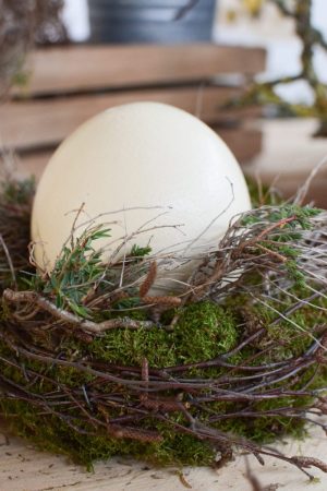 Osterdeko mit Straußenei. Dekoidee Ostern Ei Eier. Dekorieren mit Naturmaterialien Mooskranz Kranz Moos