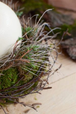 Osterdeko mit Straußenei. Dekoidee Ostern Ei Eier. Dekorieren mit Naturmaterialien Mooskranz Kranz Moos