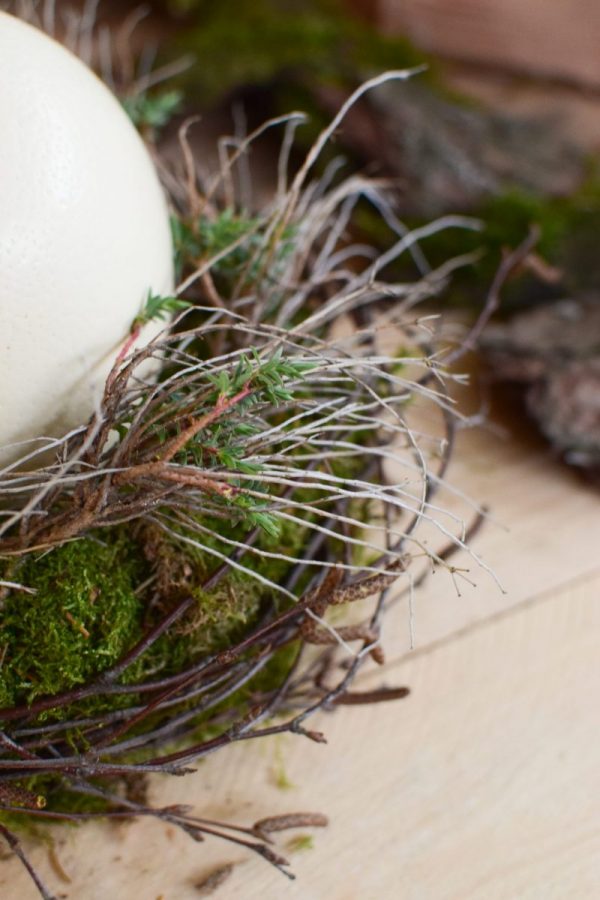 Osterdeko mit Straußenei. Dekoidee Ostern Ei Eier. Dekorieren mit Naturmaterialien Mooskranz Kranz Moos