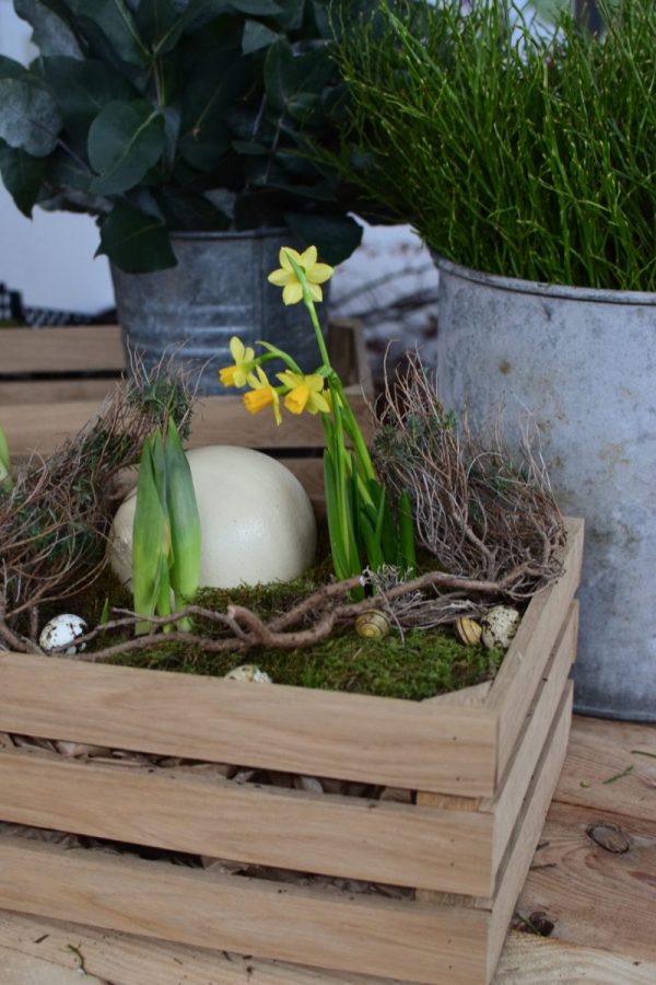 Osterdeko mit Straußenei. Dekoidee Ostern Ei Eier. Dekorieren mit Naturmaterialien