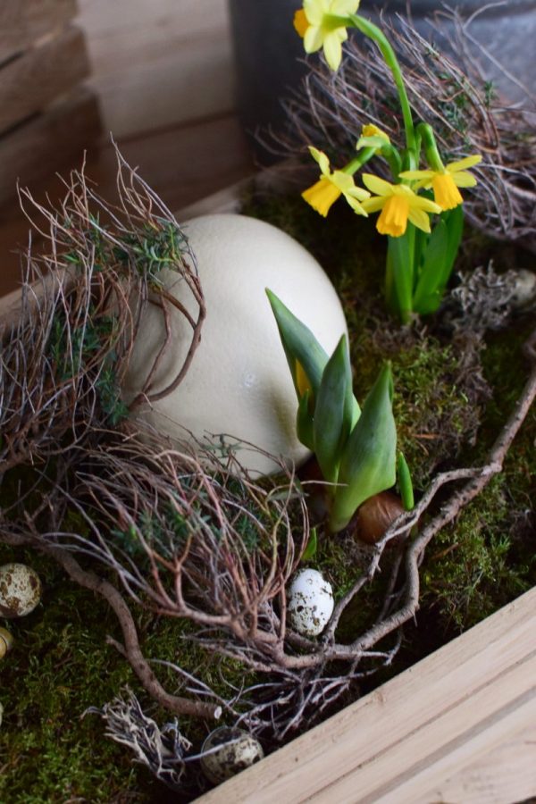 Osterdeko mit Straußenei. Dekoidee Ostern Ei Eier. Dekorieren mit Naturmaterialien