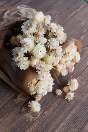 Strohblume weiß Vintage getrocknet Trockenblumen Deko Naturdeko Naturmaterialien Kreativsein