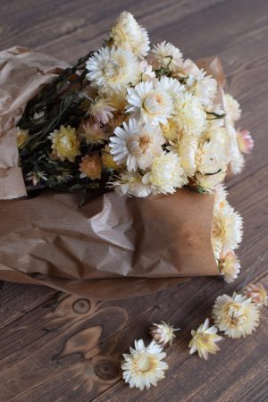 Strohblume weiß Vintage getrocknet Trockenblumen Deko Naturdeko Naturmaterialien Kreativsein