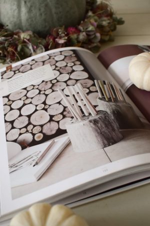 Buch: Sammeln Finden, Schönes Schaffen. Naturdekoidee Dekoideen mit Naturmaterialen Dekobuch Bücher