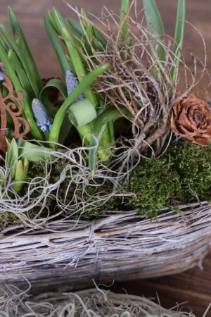 Tillandsien Curly Moos Naturdeko mit Naturmaterialien Dekoidee DIY Kreativsein