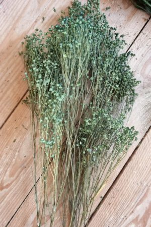 Trockenblumen getrocknet grün im Mrs Greenery Shop bestellen kaufen