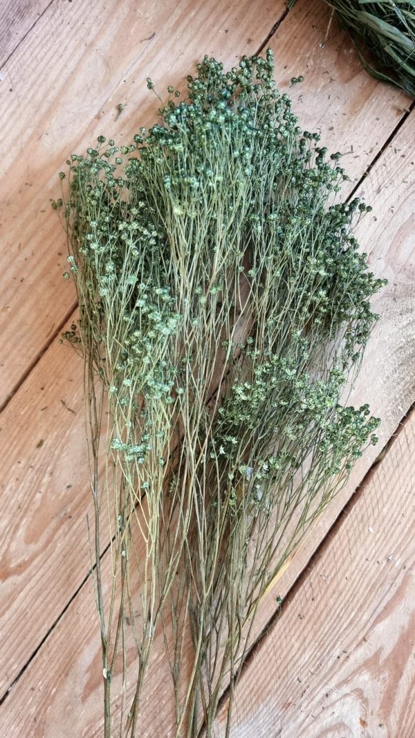 Trockenblumen getrocknet grün im Mrs Greenery Shop bestellen kaufen