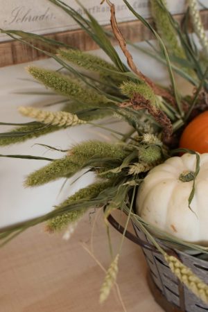 Deko mit Trockenblumen: Borstenhirse getrocknet. Setaria. Kranzbinden Deko mit Naturmaterialien Kürbis Baby Boo Dekoidee Herbst Herbstdeko Weizen