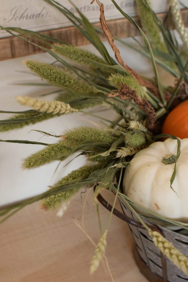 Deko mit Trockenblumen: Borstenhirse getrocknet. Setaria. Kranzbinden Deko mit Naturmaterialien Kürbis Baby Boo Dekoidee Herbst Herbstdeko Weizen