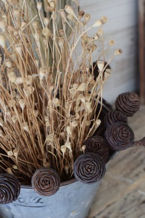 Mohn getrocknet Mohnkapseln mini Papaver Trockenblumen Naturdeko Kreativ jetzt im Mrs Greenery Shop bestellen kaufen