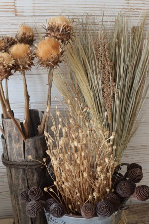 Trockenblumen getrocknet Trockenblumen Naturdeko Kreativ jetzt im Mrs Greenery Shop bestellen kaufe