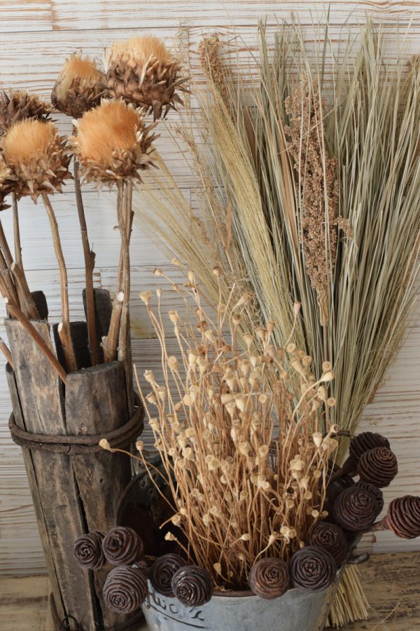 Trockenblumen getrocknet Trockenblumen Naturdeko Kreativ jetzt im Mrs Greenery Shop bestellen kaufe