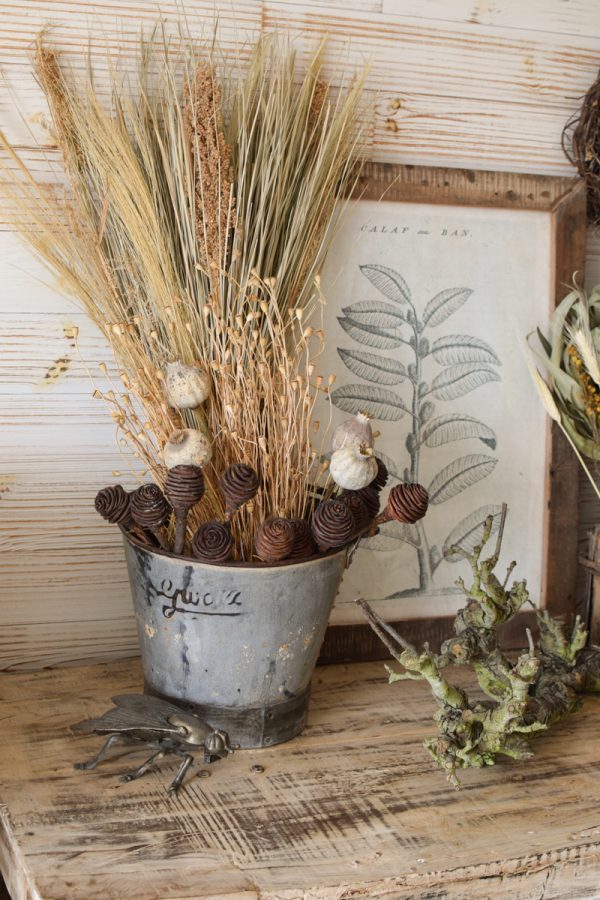 Trockenblumen getrocknet Trockenblumen Naturdeko Kreativ jetzt im Mrs Greenery Shop bestellen kaufe